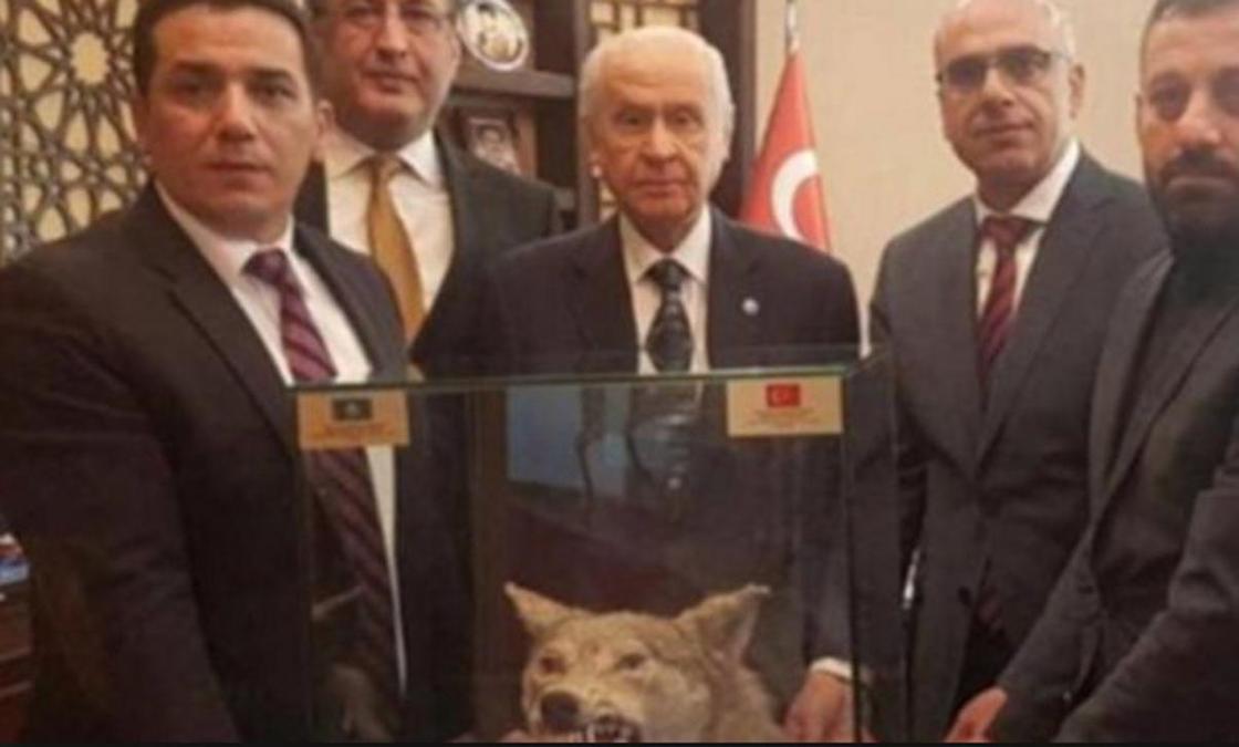 Кайрат Турлыханов подарил голову волка турецкому оппозиционеру