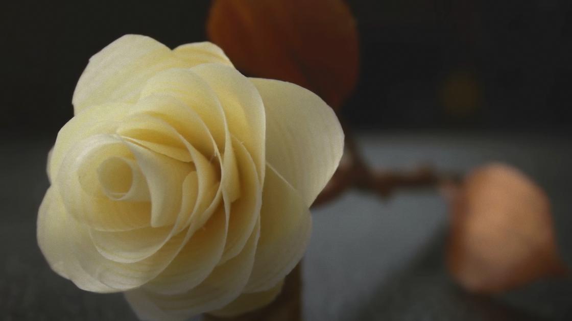Роза со светлыми лепестками, сделанная из дерева