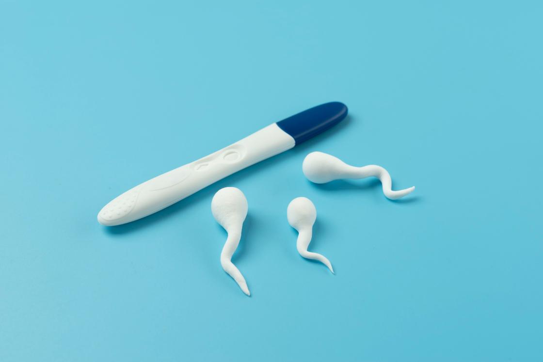 Тест на беременность, модельки сперматозоидов