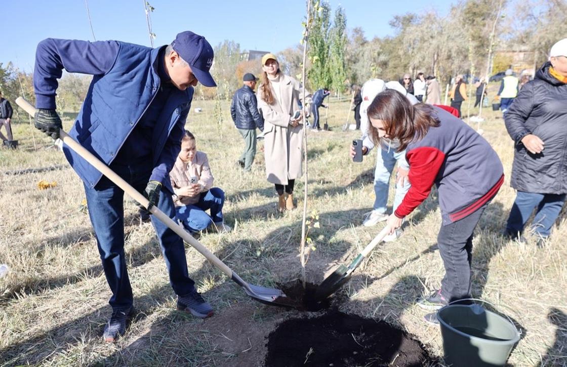 Ұлытау облысында 3000-нан аса ағаш отырғызылды