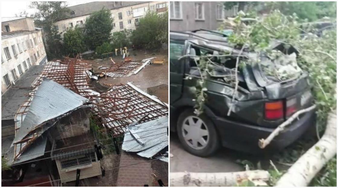 Подростка убило деревом, вырванным ураганом в Павлодарской области