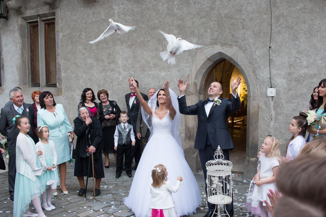 свадьба гости свадьба гости