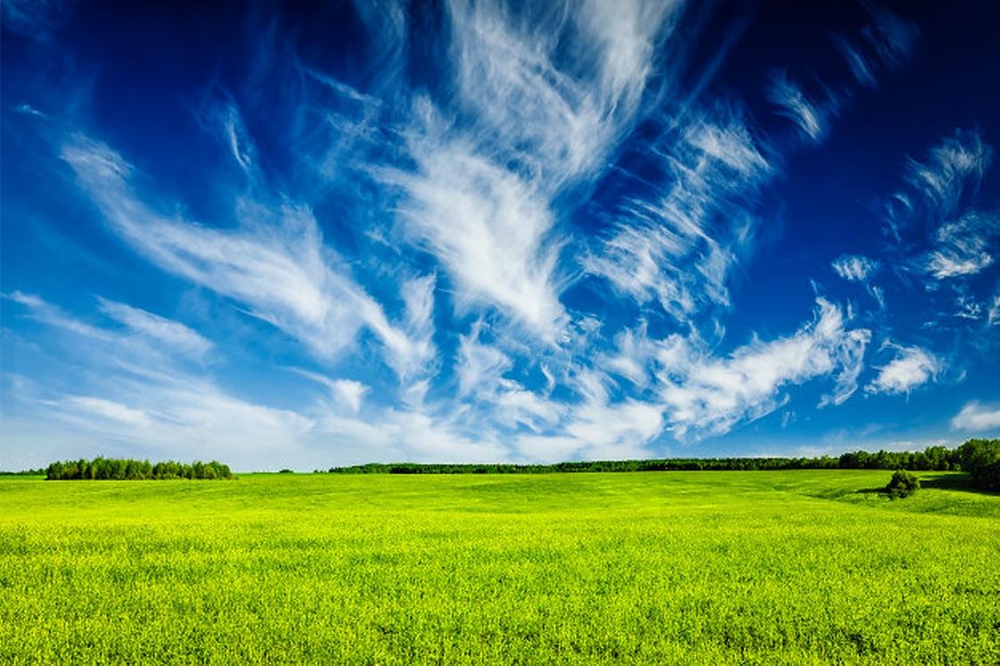Зеленое поле, голубое небо, белые облака