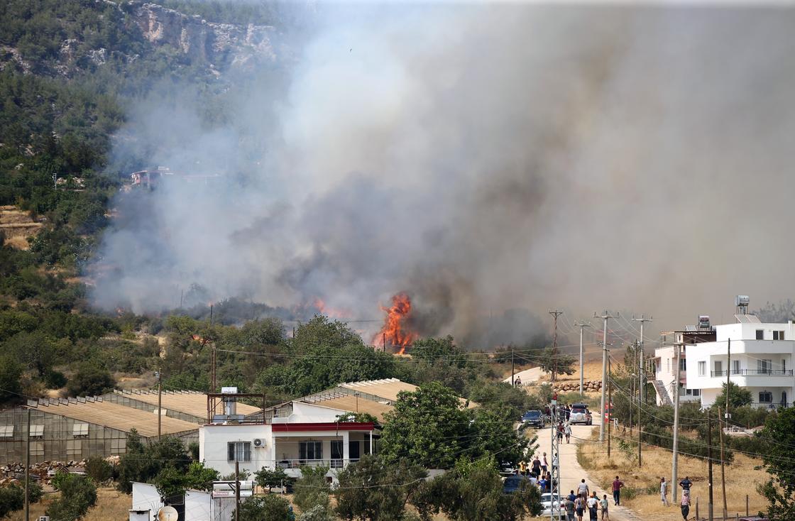 Лес горит в Турции