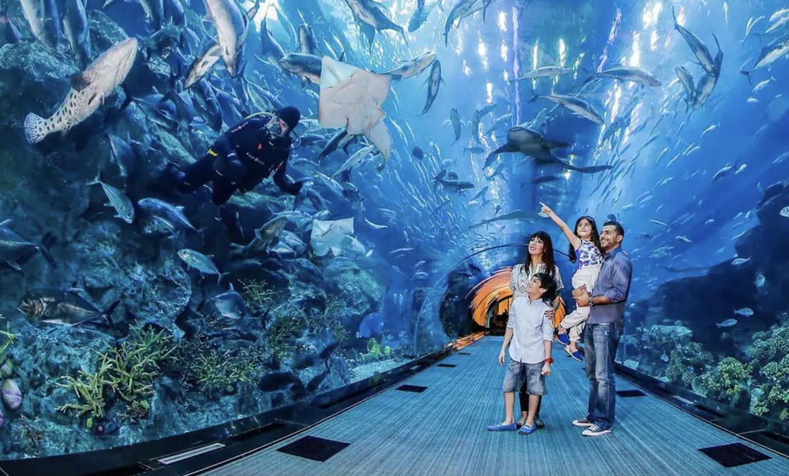 Dubai аквариумы