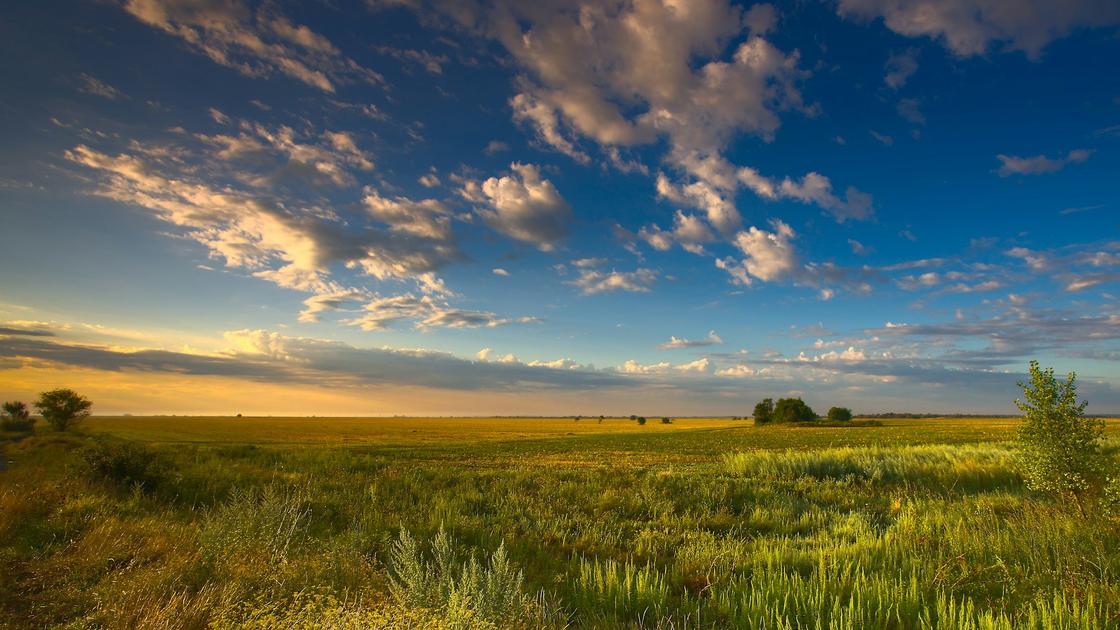 Травянистая степь, засеянное поле вдали