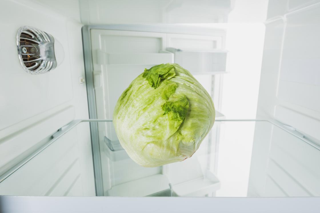 Капуста в холодильнике