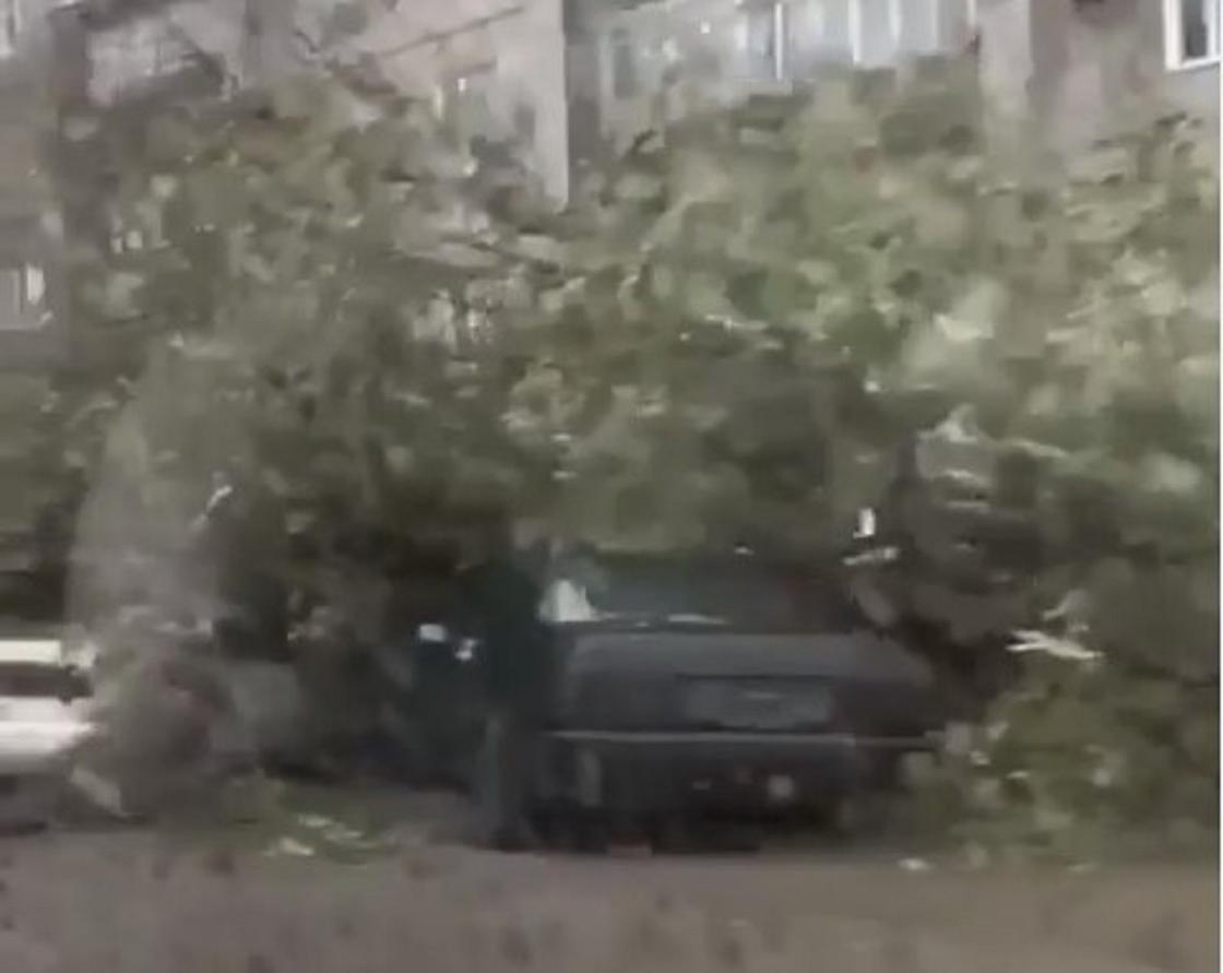 Ураганный ветер в Караганде: почему населению не разослали сообщения о непогоде