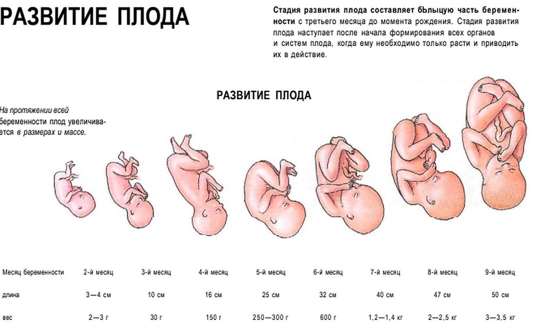 38 неделя беременности: предвестники родов, описание