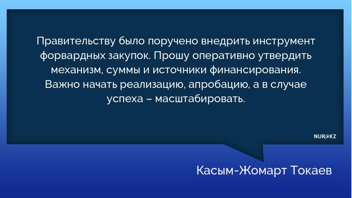 "Это прямое покушение на безопасность страны": Токаев дал поручения министрам