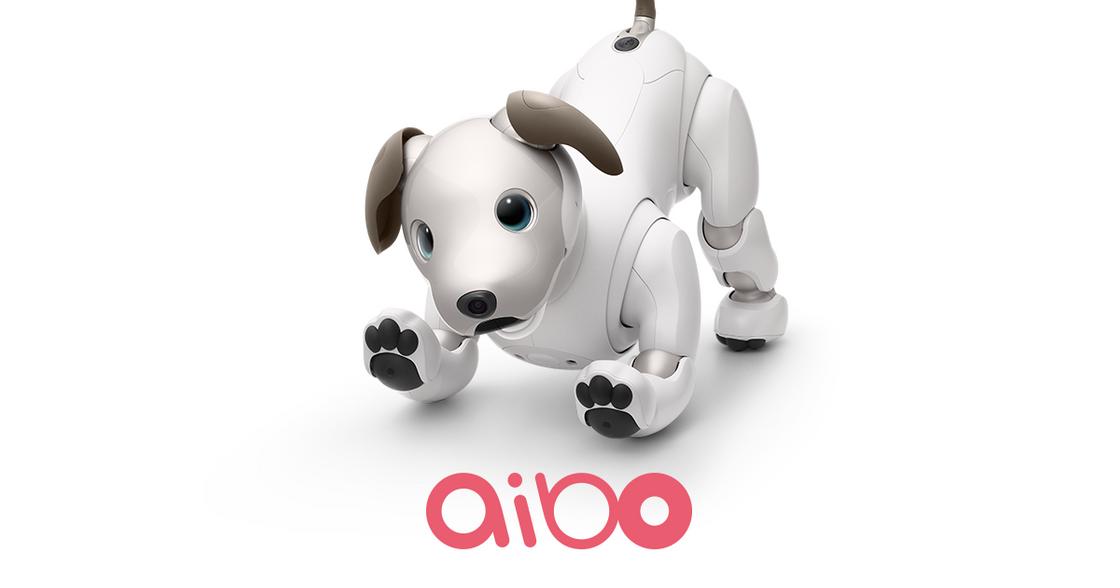 Робот-собака Айбо