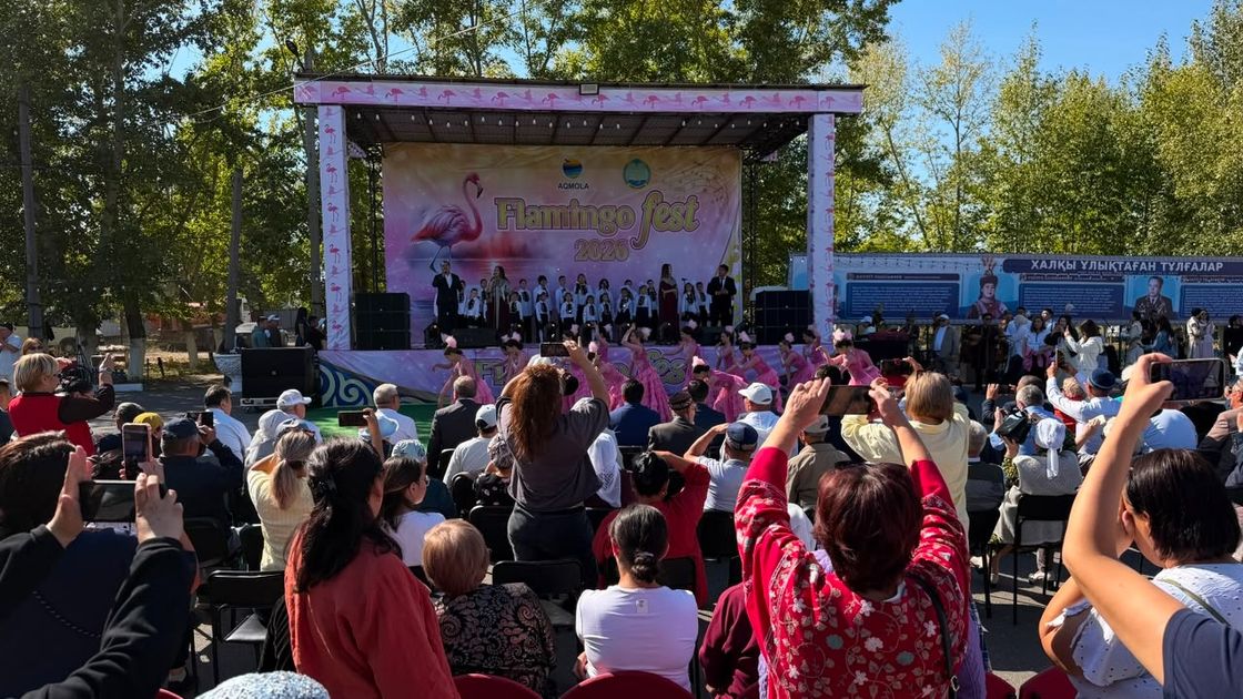 Flamingo Fest