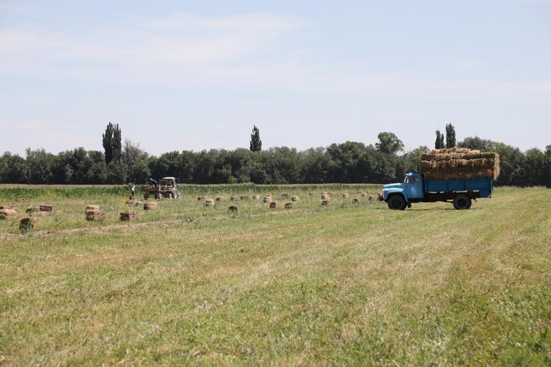 Жамбыл облысы әкімдігі