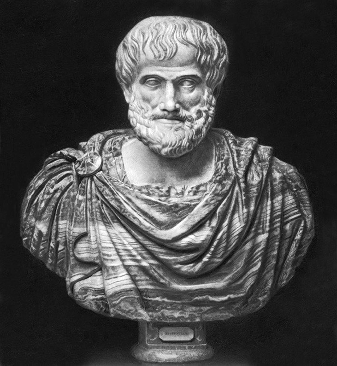 Аристотель: философия, годы жизни и интересные факты о мыслителе