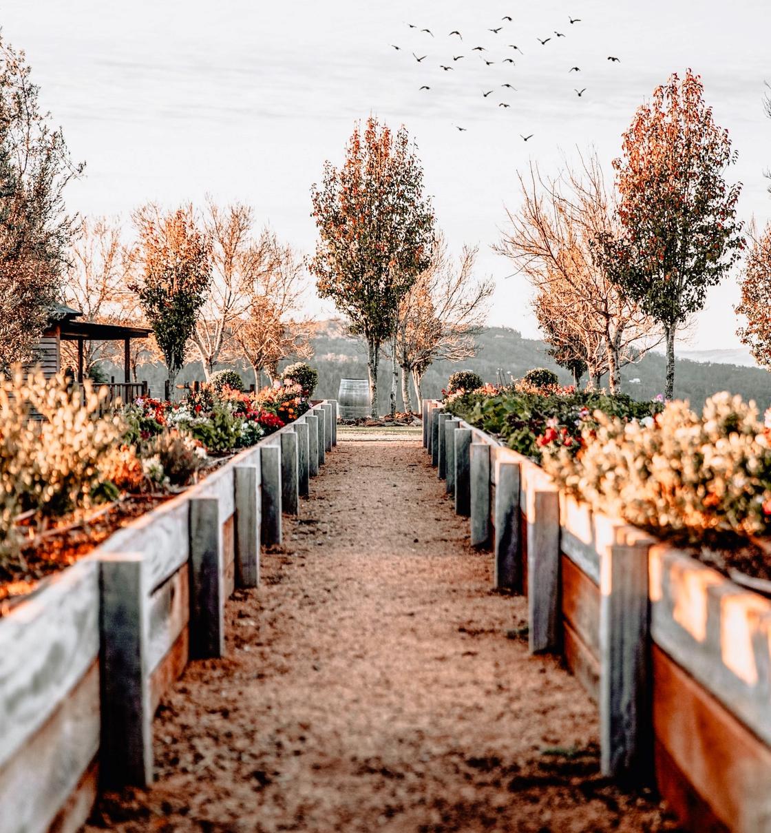 Сад в ноябре