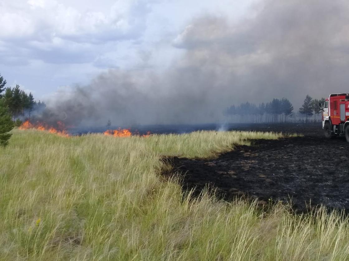 Крупный лесной пожар вспыхнул из-за грозы в Павлодарской области (фото, видео)