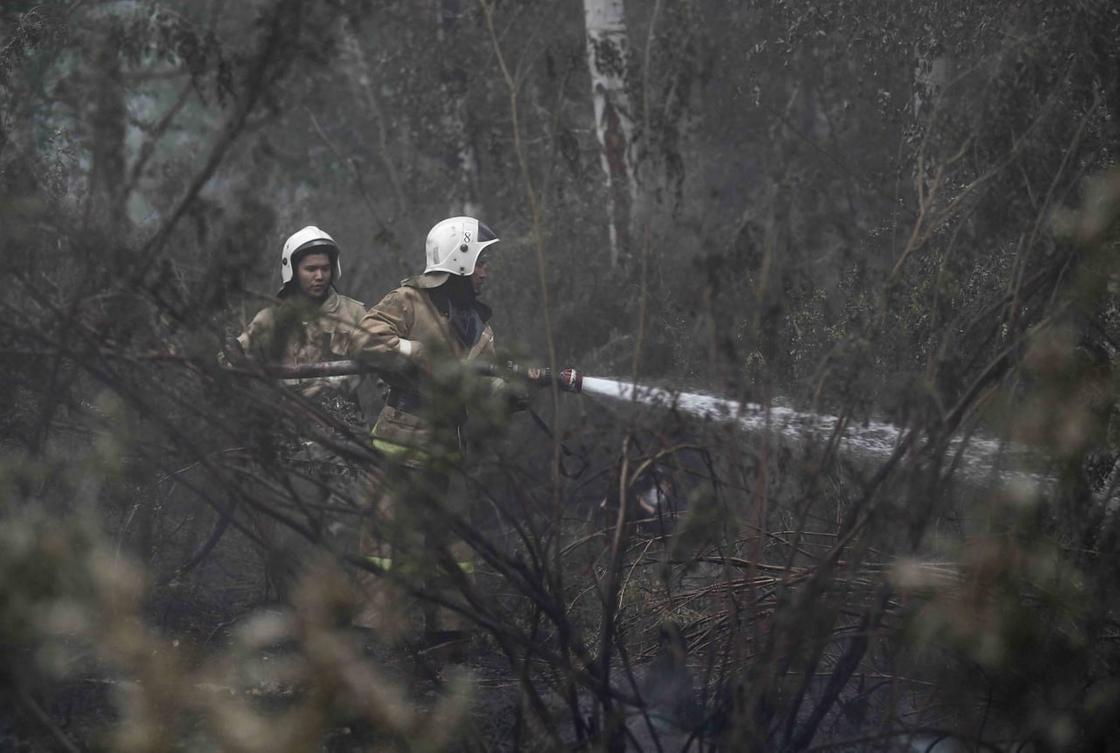 Пожарные тушат горящий лес в Абайской области