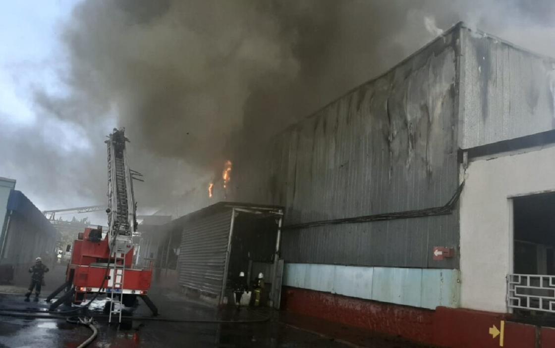 Пожар произошел на складе одного из крупных предприятий в Шымкенте (видео)