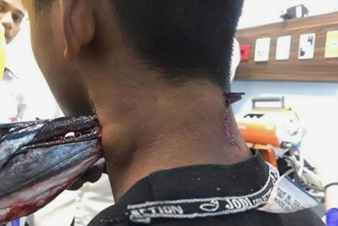 рыба прыгнула в лодку. Смотреть фото рыба прыгнула в лодку. Смотреть картинку рыба прыгнула в лодку. Картинка про рыба прыгнула в лодку. Фото рыба прыгнула в лодку рыба прыгнула в лодку. Смотреть фото рыба прыгнула в лодку. Смотреть картинку рыба прыгнула в лодку. Картинка про рыба прыгнула в лодку. Фото рыба прыгнула в лодку