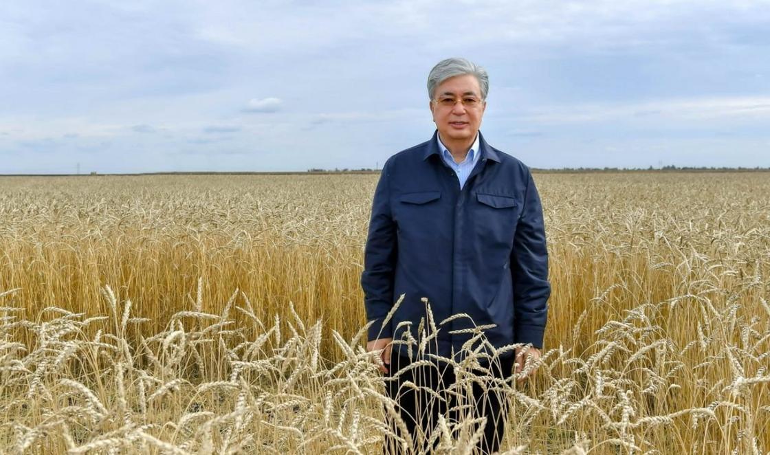 "Повальное бескультурье": Токаев возмутился поведением казахстанцев на природе