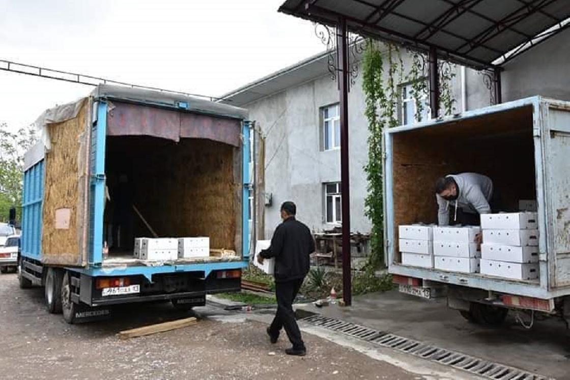 Туркестан: в Сарыагашском районе увеличился экспорт сельскохозяйственной продукции