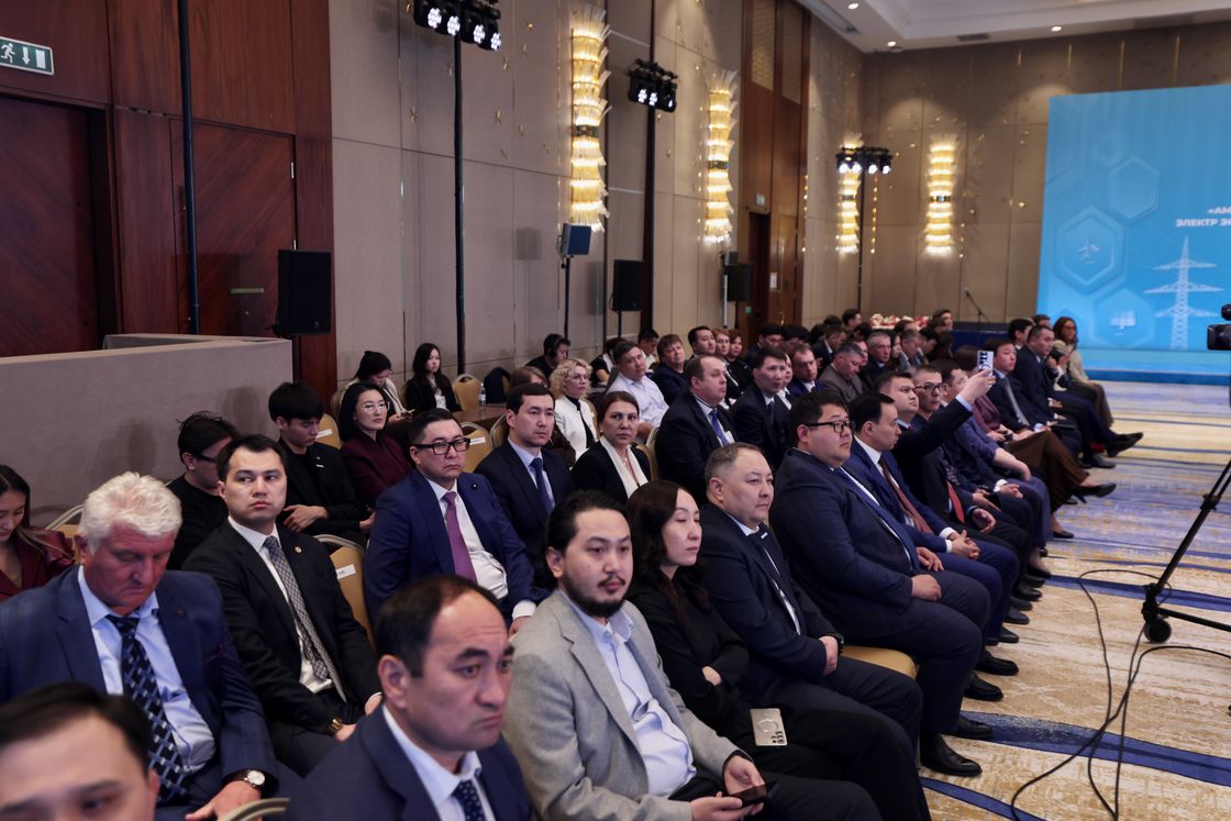 Встреча предпринимательского крыла партии AMANAT с представителями энергетической отрасли