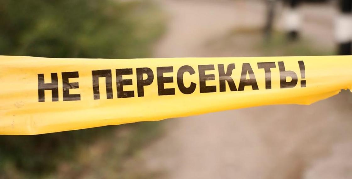 Жителя Нур-Султана убили металлической трубой и выбросили в кювет в Алматинской области