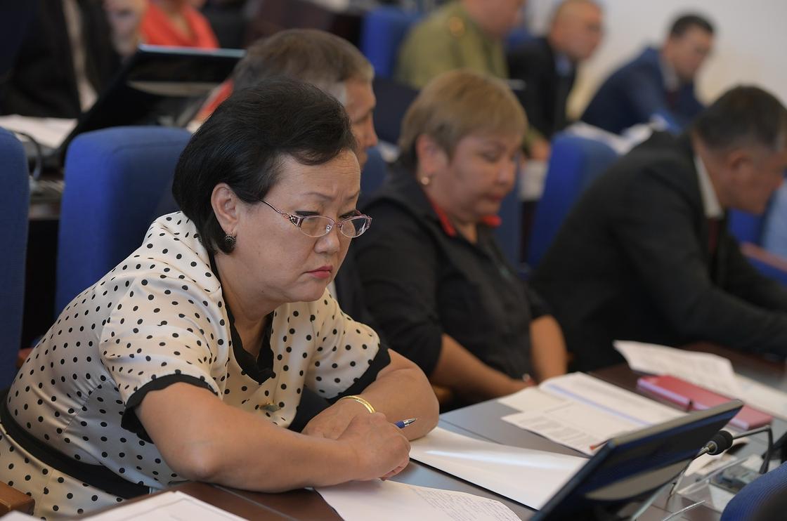 617 человек переехали в Павлодарскую область в рамках программы "Nurly Ertis"