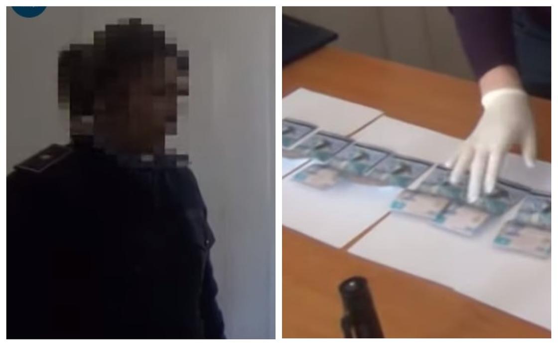 Видеодан кадр Видеодан кадр