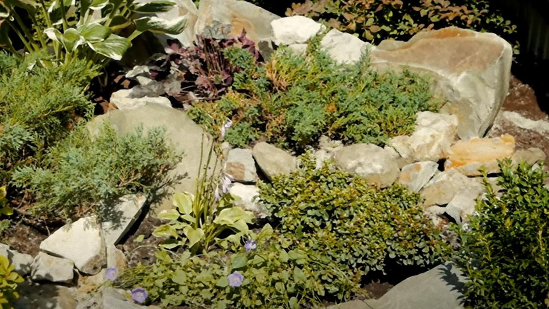 Альпийская горка с гранитных камней с высаженными хвойниками и цветущими растениями