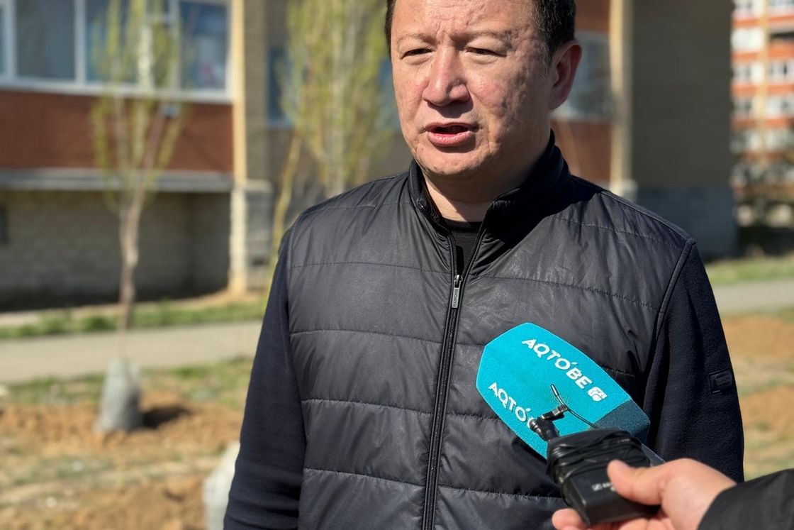 Тал көшеттерін отырғызу сәті