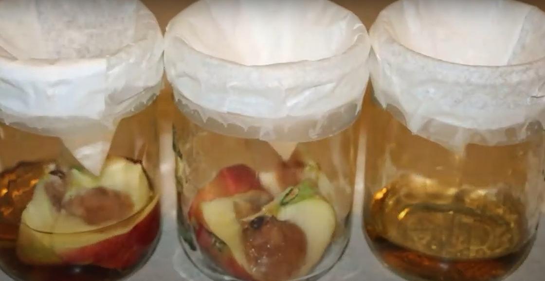 Банки с приманками для мошек Банки с приманками для мошек