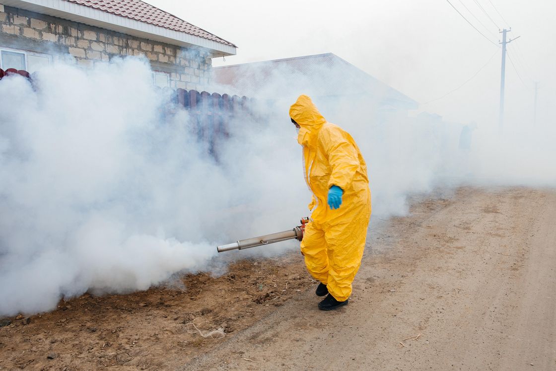 Дератизация