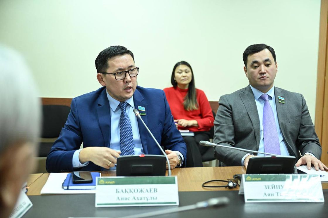 Заседание фракции "Ауыл"