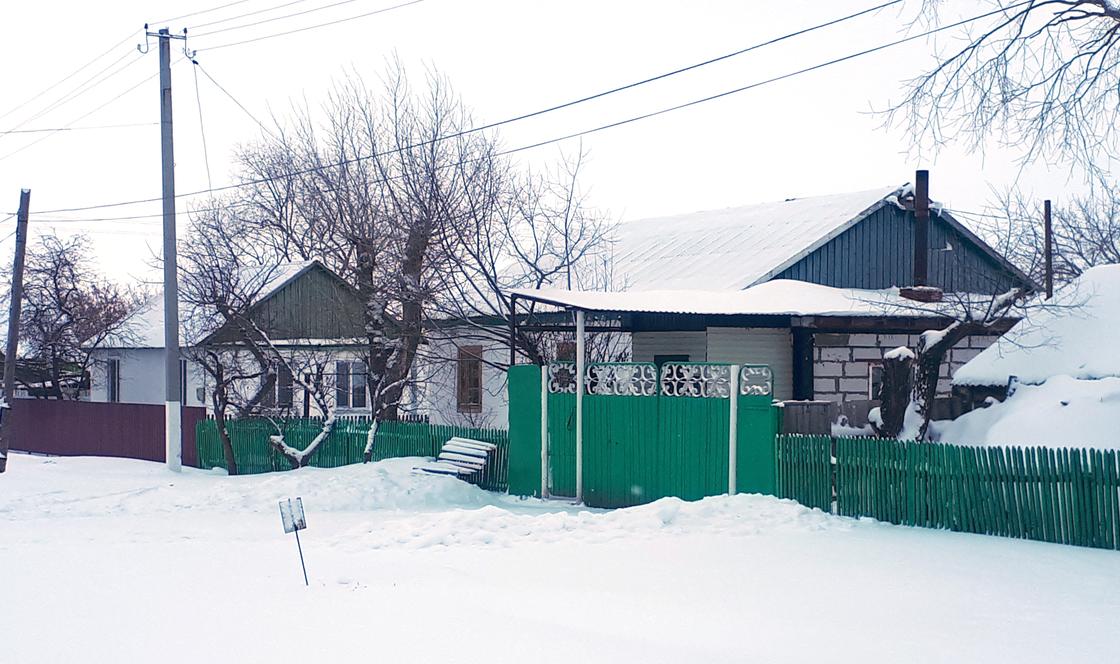 Кони вместо Ламборджини: как живут в Рублевке на Севере Казахстана