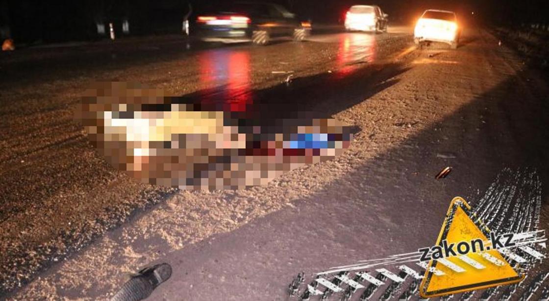 Мужчину сбили насмерть на трассе Алматы-Астана (фото)
