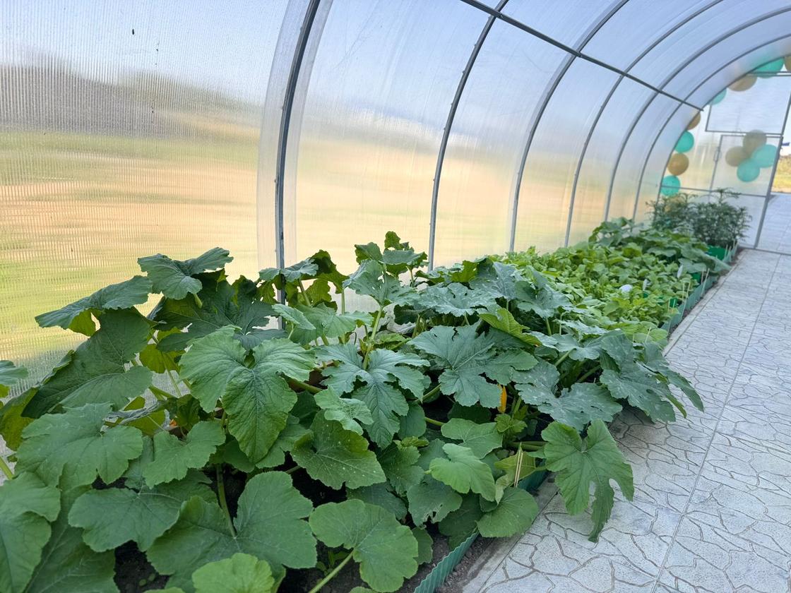 "Зеленая лаборатория"