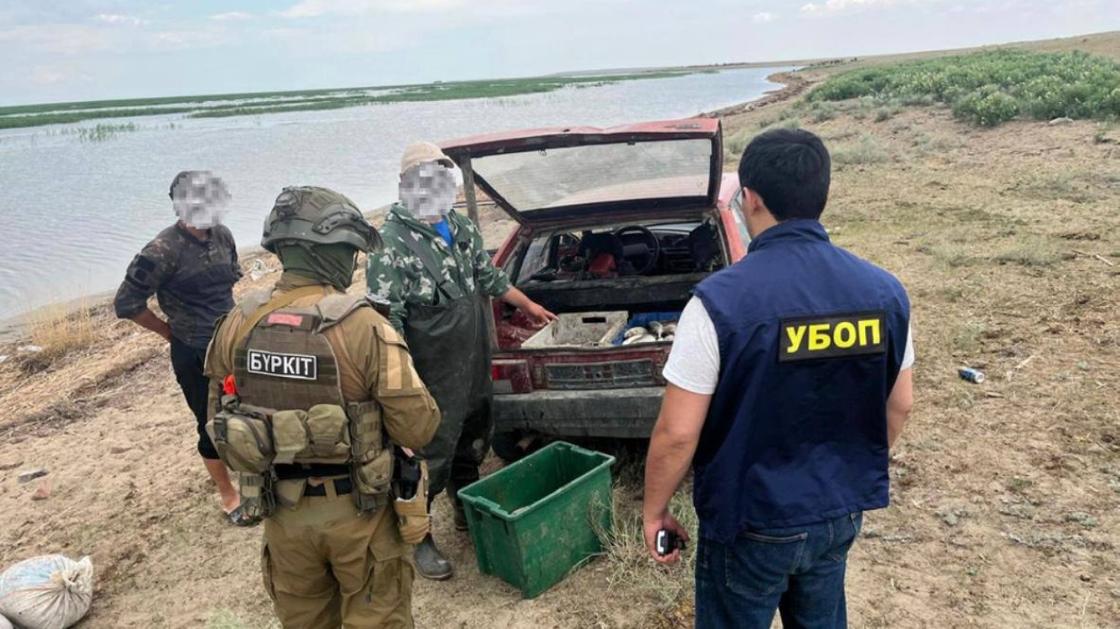 Подозреваемые в браконьерстве Подозреваемые в браконьерстве
