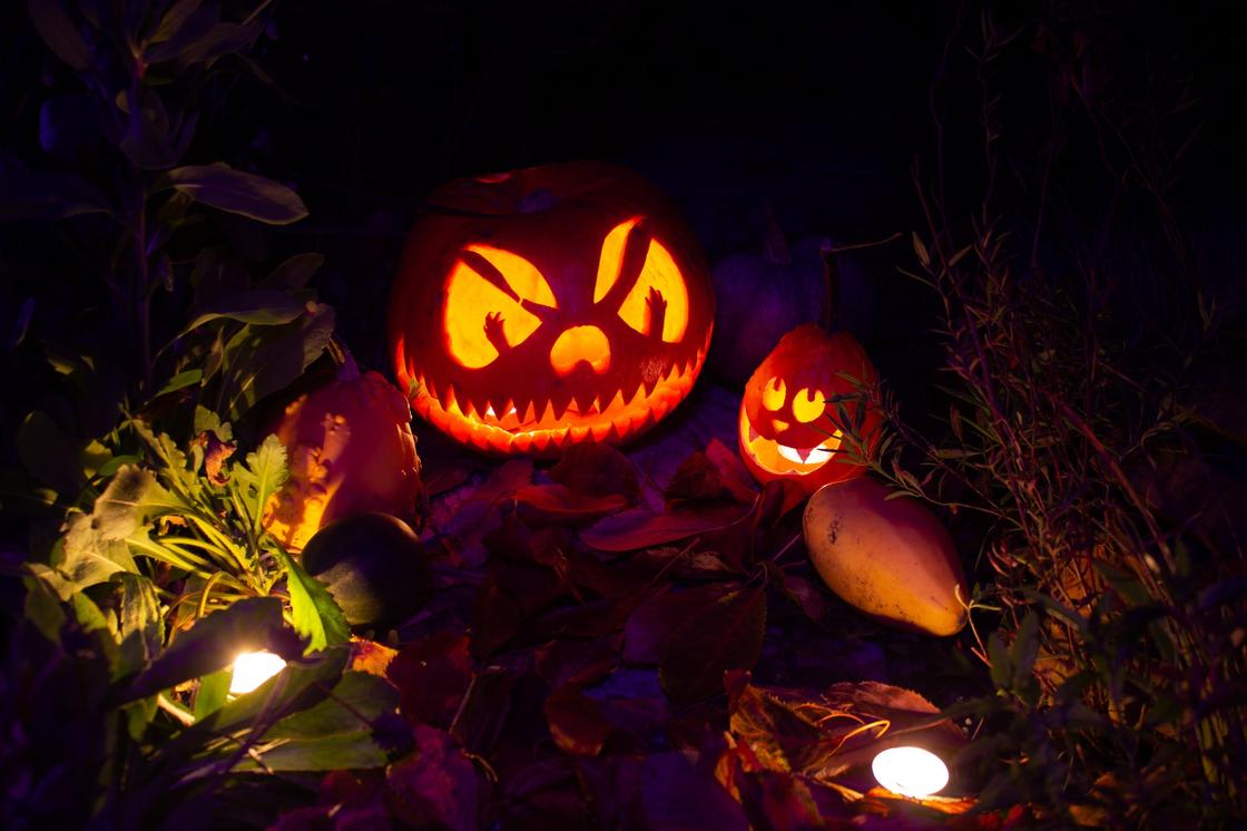 Поделки на Хэллоуин своими руками: 15 интересных идей (фото)