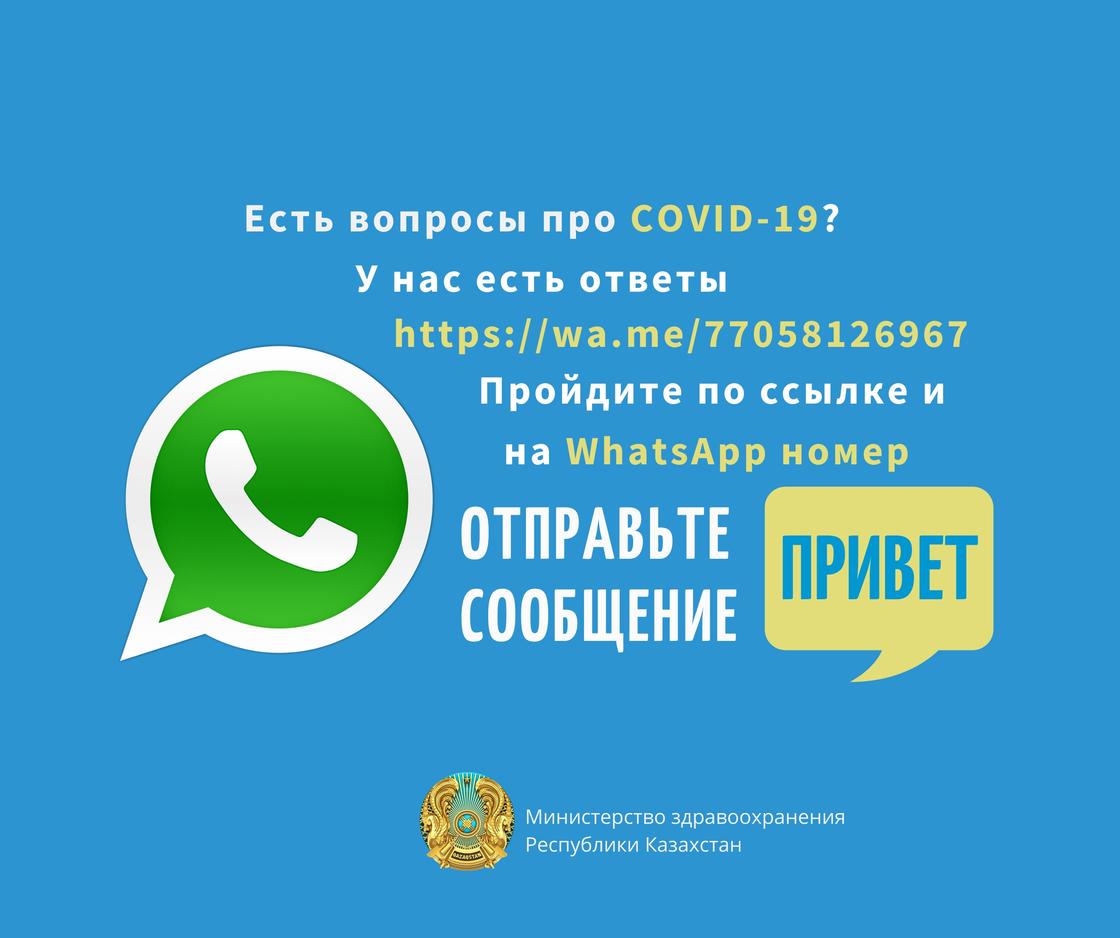 Минздрав запустил чат-бот в WhatsApp для информирования населения о COVID-19