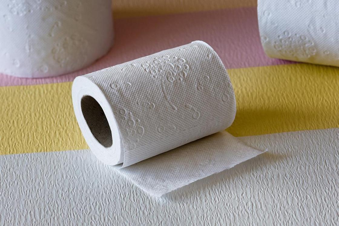 Елена Малышева призвала отказаться от туалетной бумаги