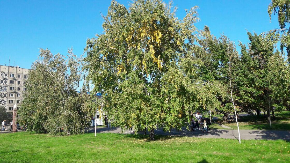 Погода в Алматы на 10 октября Погода в Алматы на 10 октября