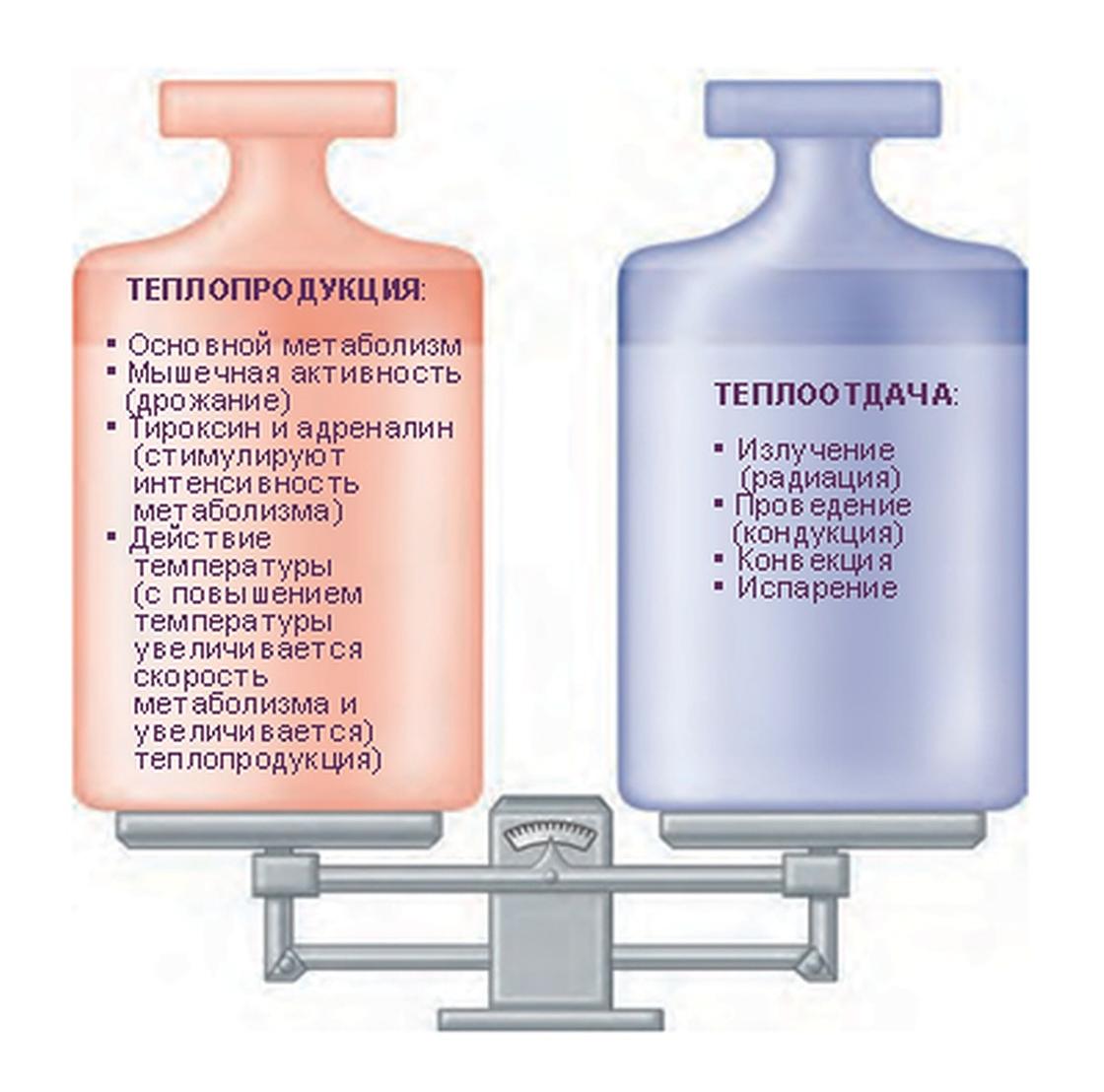 Низкая температура тела: причины, как поднять Низкая температура тела: причины, как поднять