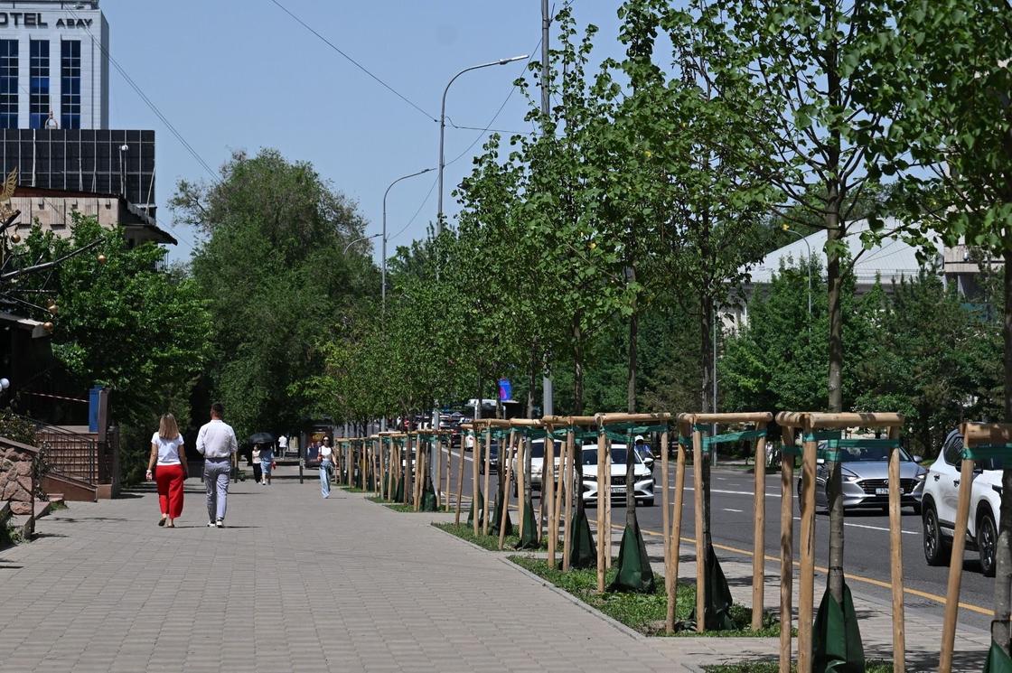 Аллея в городе Алматы Аллея в городе Алматы