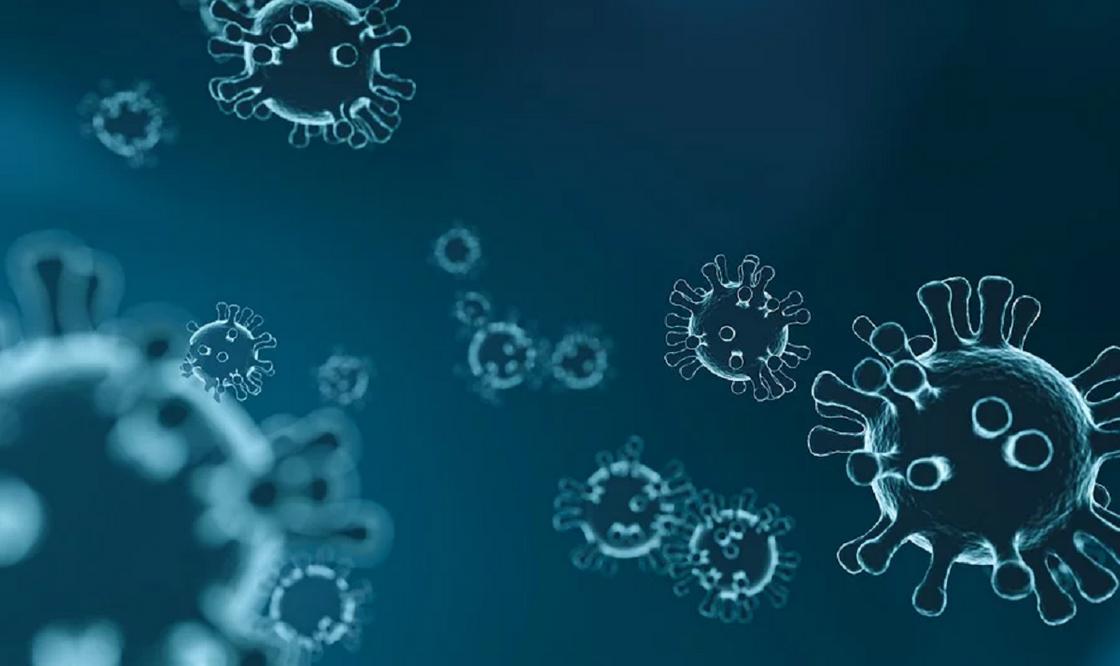 Әлемде коронавирус жұқтырғандар саны 5 млн-ға жуықтады Әлемде коронавирус жұқтырғандар саны 5 млн-ға жуықтады
