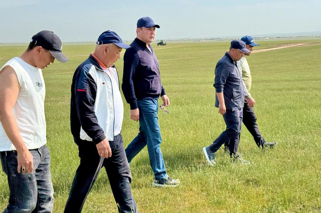 Мужчины идут по полю Мужчины идут по полю