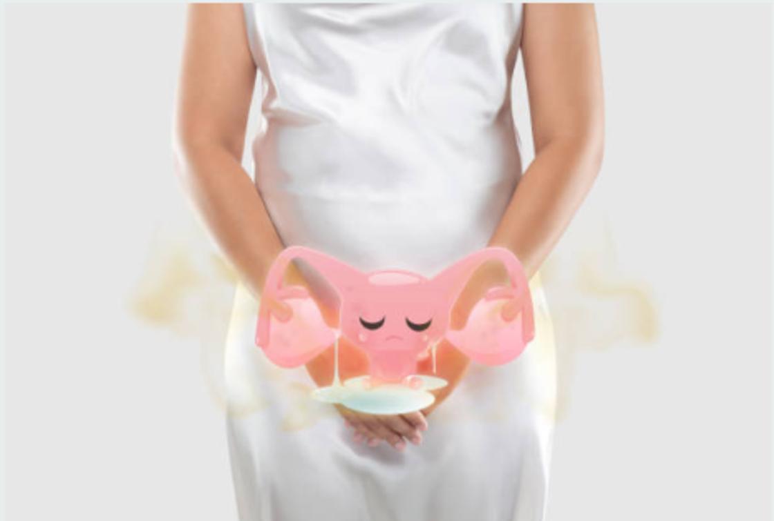 Беременная женщина держит в руках макет органов малого таза
