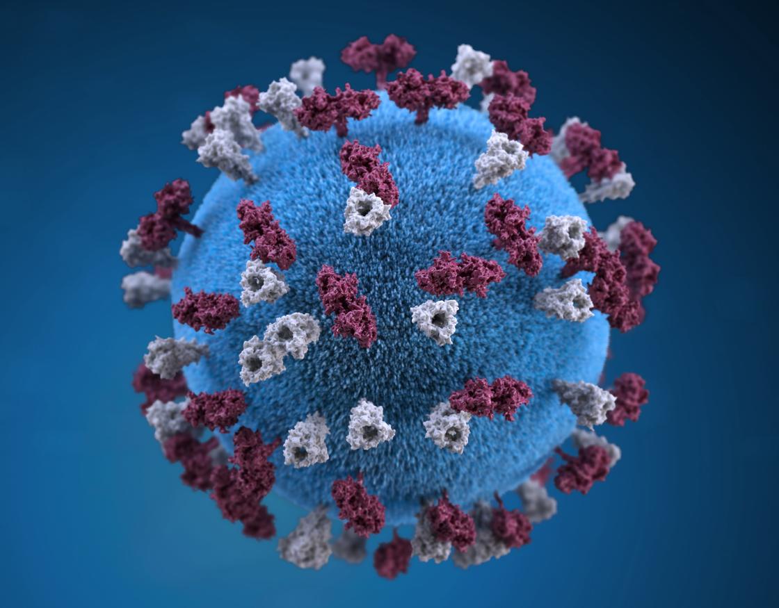 Объемное изображение молекулы вируса