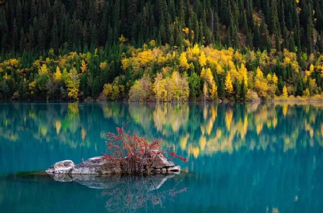 Озеро в окружении деревьев, островок