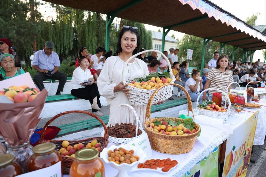 Apricot Fest Apricot Fest